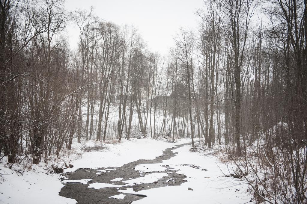 Willa Lano Biały Dunajec Kamer foto