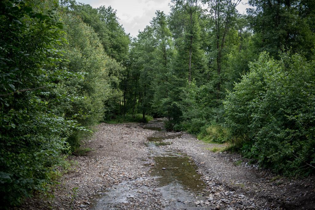 Willa Lano Biały Dunajec Buitenkant foto