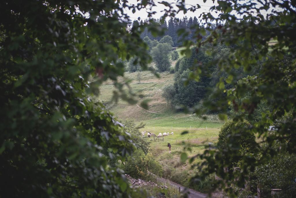Willa Lano Biały Dunajec Buitenkant foto